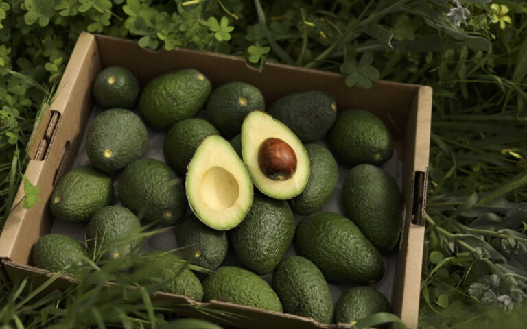 Rewriting the Rules of Food Shopping: Meet CrowdFarming