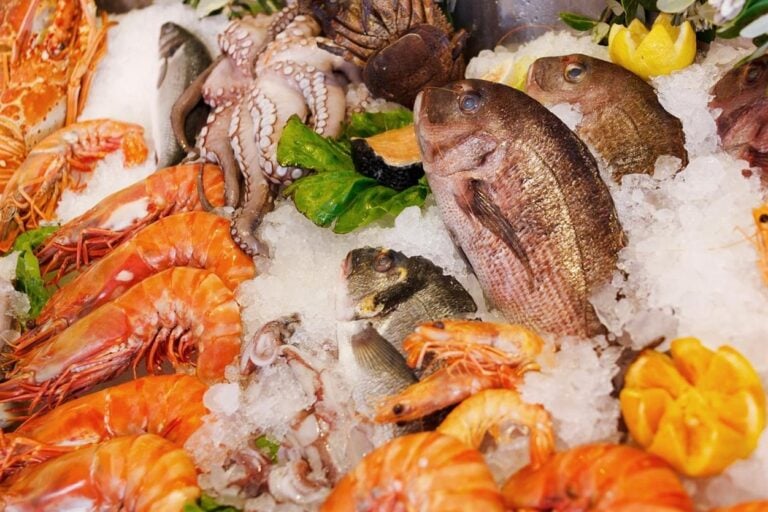 In the heart of Manhattan's Upper West Side, where the bustle of city life meets the charm of old-world markets, there exists a name synonymous with quality, freshness, and exceptional seafood: Citarella. What began in 1912 as a small neighborhood seafood shop has since blossomed into one of the most renowned and beloved gourmet markets in the country. Today, Citarella is the premier destination for the finest seafood, and its transformation into a culinary empire is a testament to both its rich history and its unwavering commitment to quality.