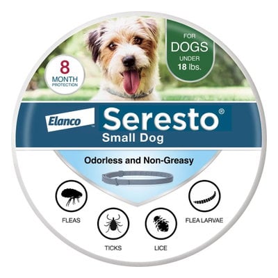 Complete Pet Care Guide Health, Wellness, and Prevention