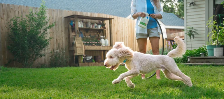 Wondercide – Discover Plant-Powered Pest Control Solutions for Pets, Homes, and Outdoor Living